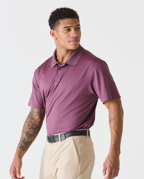 Baldwin Polo Sosta