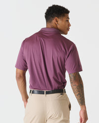 Baldwin Polo Sosta