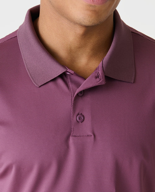 Baldwin Polo Sosta